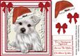 Beautiful Westie with His Christmas Hat 