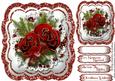 Beautiful Christmas Roses on a Lace Mat