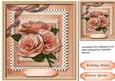 Beautiful Soft Pink Roses on a Double Lace Frame
