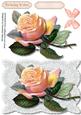 A5 Beautiful Peach Rose on Eucra Lace