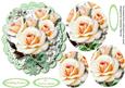 Beautiful Crean Roses in Pyramids