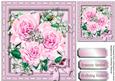 Lovely Pink Roses and Baby's Breath