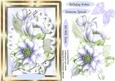 Lovely Green and Lilac Hellebore