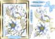 Lovely Blue and Cream Hellebore