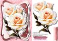 Lovely Cream Roses Ohn Oval Lace