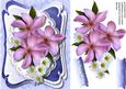 Lovely Clematus and Daisy'e on Oval Lace