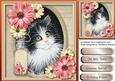 Lovely Kitty in a Oval Frame 