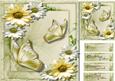 Beautiful Meadow Flowesr and Daisy's