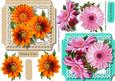 2 Flowers Toppers in Pink and Orange