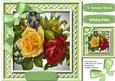 Beautiful Red and Yellow Rose on Cut Out Lace 