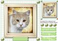 Lovely Beige and White Kitty on a Green Board 