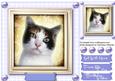 Lovely Black and White Kitty on a Lilac Board
