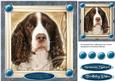 Lovely Spaniel in a Gold Frame