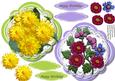 Two Lovely Flowers Toppers 