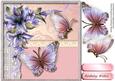 Lovely Butterfly's and Lillies 1