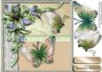 Lovely Butterfly's and Lillie's ,3