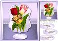 Beautiful Tulips in a Bracket Frame