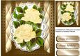 Lovely Cream Roses on Scalloped Lace