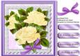 Beautiful White Roses for Someone Special, 2