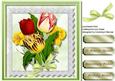 Beautiful Tulips and Daffodils for Someone Special, 3