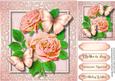 Beautiful Butterfly's and Pink Roses