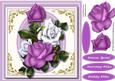 Beautiful Lilac and White Roses 