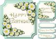 Lovely Birthday Greetings and White Daisy's