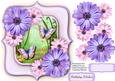 Beautiful Lilac and Pink Daisy and Butterfly's