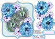 Beautiful Blue Daisy's and Garden Scene