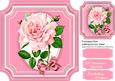 Beautiful Pink Roses on a Cut Out Mat 