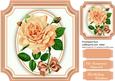 Beautiful Peach Roses on a Cut Out Mat 