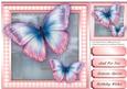 Stunning Pink and Blue Butterfly's