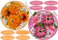 2 Lovely Flower Topper on Cut Out Lace