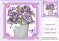 Lovely Lilac Flowers in a Tub 