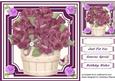 Lovely Plum Flowers in a Tub