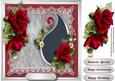 Lovely Roses for a Special Occasions