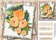 Beautiful Water Coloured Apricot Roses 