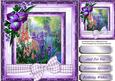 Lovely Irises and Foxgloves