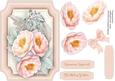 A5 Beautiful Cluster of Roses