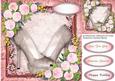 Beautiful Shoes and Pink Roses