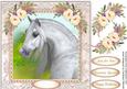 Beautiful Arabian Horse with Anemone's