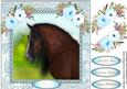 Lovely Draft Horse and Blue Anemone's