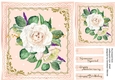 Beaitiful Cream roses on a Gold and pearl frame