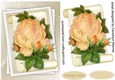 Beautiful Apricot Rose on parchment Scroll 1