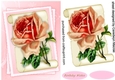 Beautiful pink roses on parchement scroll 2