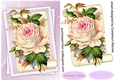 Beautiful Cream ros on Parchment Scroll 4
