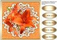 Beautiful Orange Lillies on Cut out lace