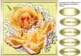 Beautiful Apricot Roses on Cut out Lace 4