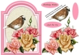 Beautiful Finch on Roses 