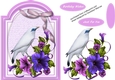 Beautiful Rothschild Myna Bird and Petunias  3